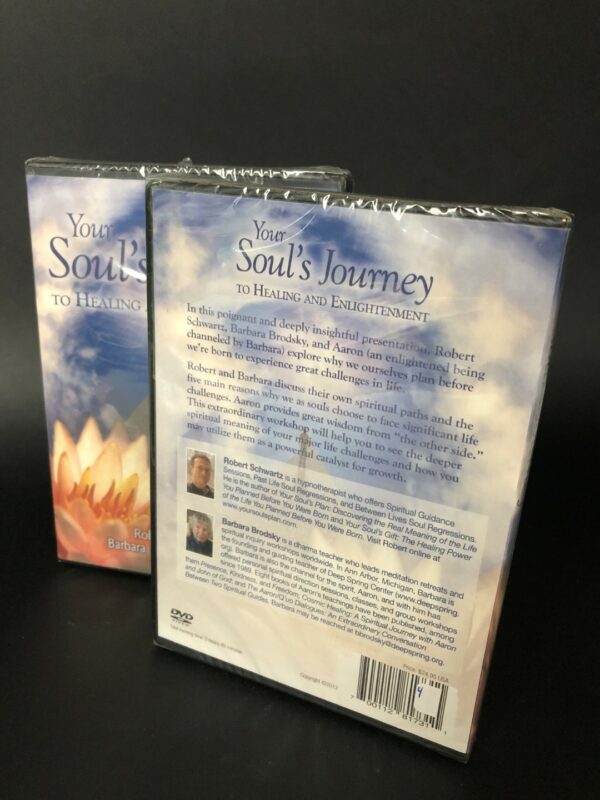 Your Soul’s Journey to Healing and Enlightenment by Robert Schwartz, Barbara Brodsky and Aaron